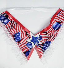 Load image into Gallery viewer, 4th of July Dog Collar