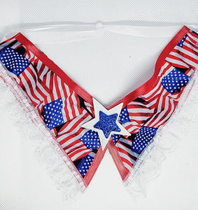 4th of July Dog Collar