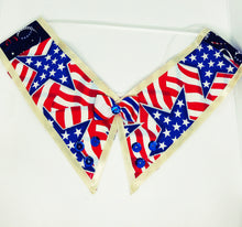 Load image into Gallery viewer, 4th of July Dog Collar