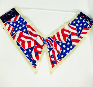 4th of July Dog Collar